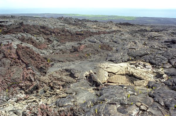 Lava, Vent, and the Kalapana Coast